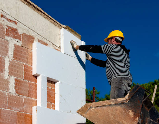 Best Insulation Installation Services in Los Chaves, NM