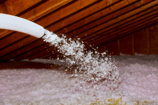 Best Insulation for Specific Applications in Los Chaves, NM