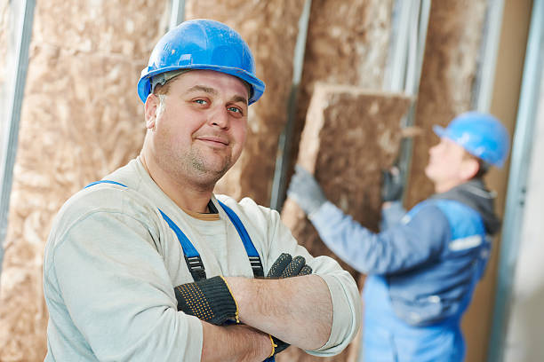 Best Insulation Maintenance and Repair in Los Chaves, NM