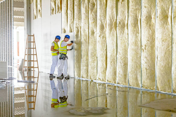 Best Insulation for Specific Applications in Los Chaves, NM